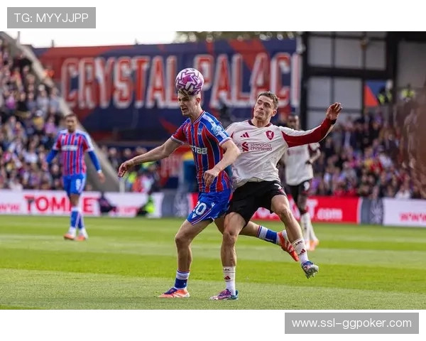 布莱顿与水晶宫上演十年来最重要对决,中游之争关系欧战前景 布莱顿与水晶宫上演十年来最重要对决,中游之争关系欧战前景